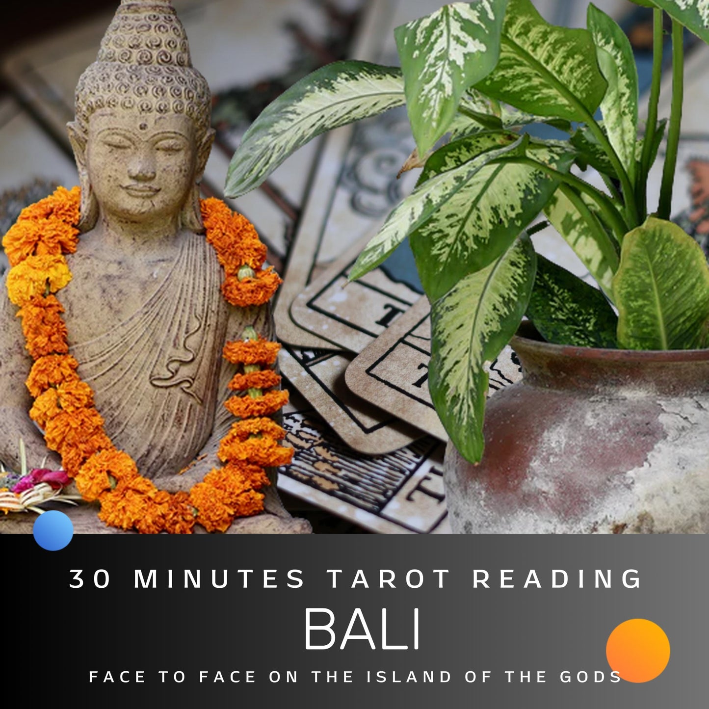 30 min face to face on Bali